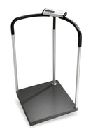 DIGITAL HAND RAIL SCALE